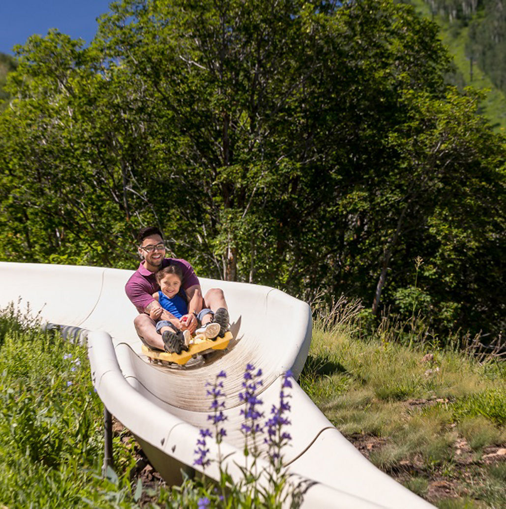Alpine slide shop